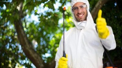 Sydney Pest Control: Tips for Preventing Pest Infestations in Multi-Family Housing
